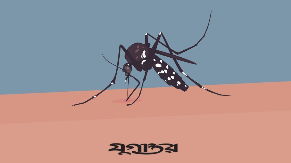 ডেঙ্গুতে দেশে রেকর্ড মৃত্যু