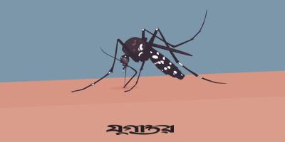 ডেঙ্গুতে দেশে রেকর্ড মৃত্যু